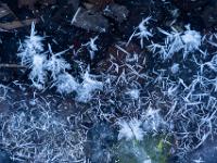 Unterschiedlich große Raureif Kristalle am Eis beim Walchseeufer